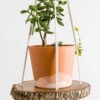 5 Bathroom Plant Hanger Free Macrame Patterns