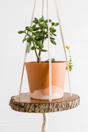 5 Bathroom Plant Hanger Free Macrame Patterns
