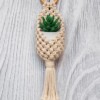 9 Macrame Pod Plant Hanger Free Patterns