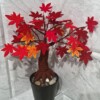 12 Crochet Bonsai Tree Free Patterns