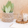 13 Plant Pot Cover Free Crochet Patterns