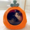 16 Crochet Cat Bed Free Patterns