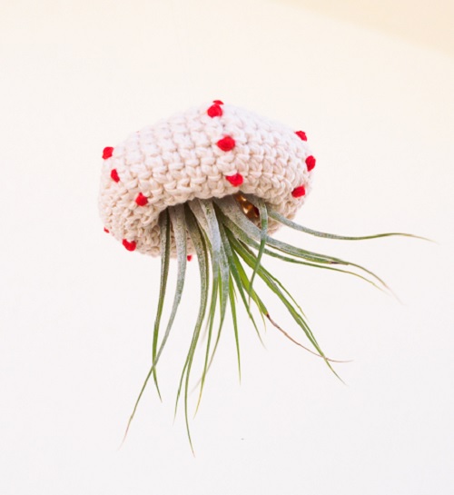Crochet Air Plant Jellyfish Tutorial