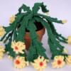8 Crochet Christmas Cactus Free Patterns