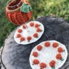 8 Crochet Pumpkin Coasters Free Patterns