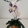 9 Crochet Orchid Free Patterns