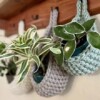 10 Teardrop Basket Plant Hanger Free Crochet Patterns