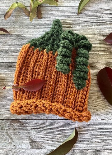 13 Crochet Baby Beanie Free Patterns