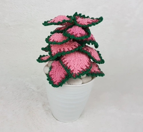 Stunning Crochet Plectranthus Scutellarioides