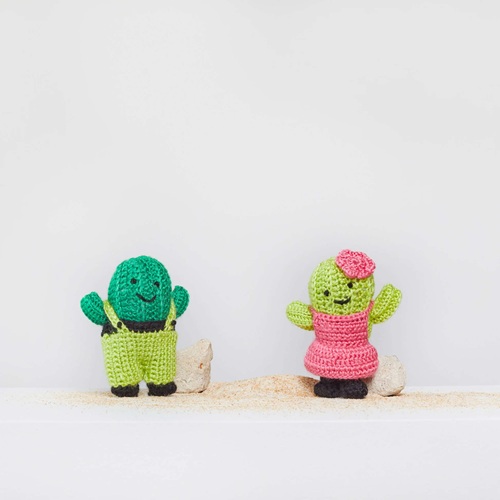 Easy and Cute Unique Cactus Crochet Patterns