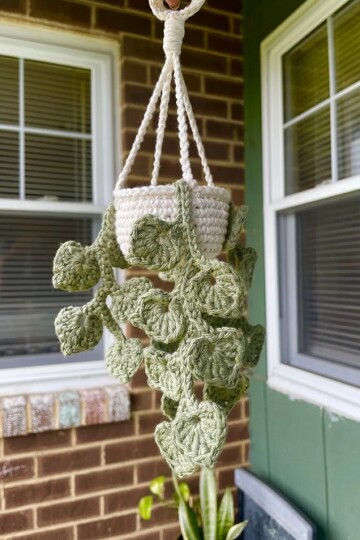 7 Crochet Money Plant Free Patterns