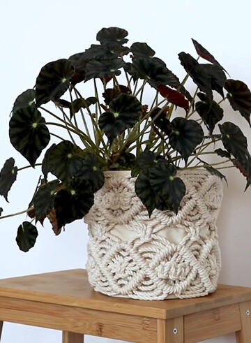 7 Macrame Plant Pot Cozy Free Patterns