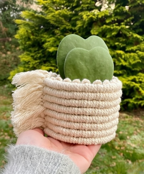 Macrame Plant Pot Cozy