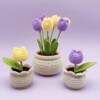 10 Crochet Flower Pot Free Patterns