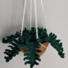 5 Crochet Fern Plant Free Patterns