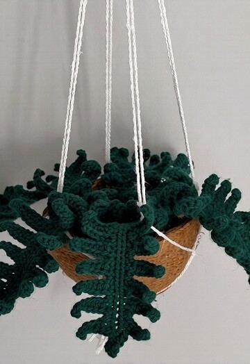 5 Crochet Fern Plant Free Patterns