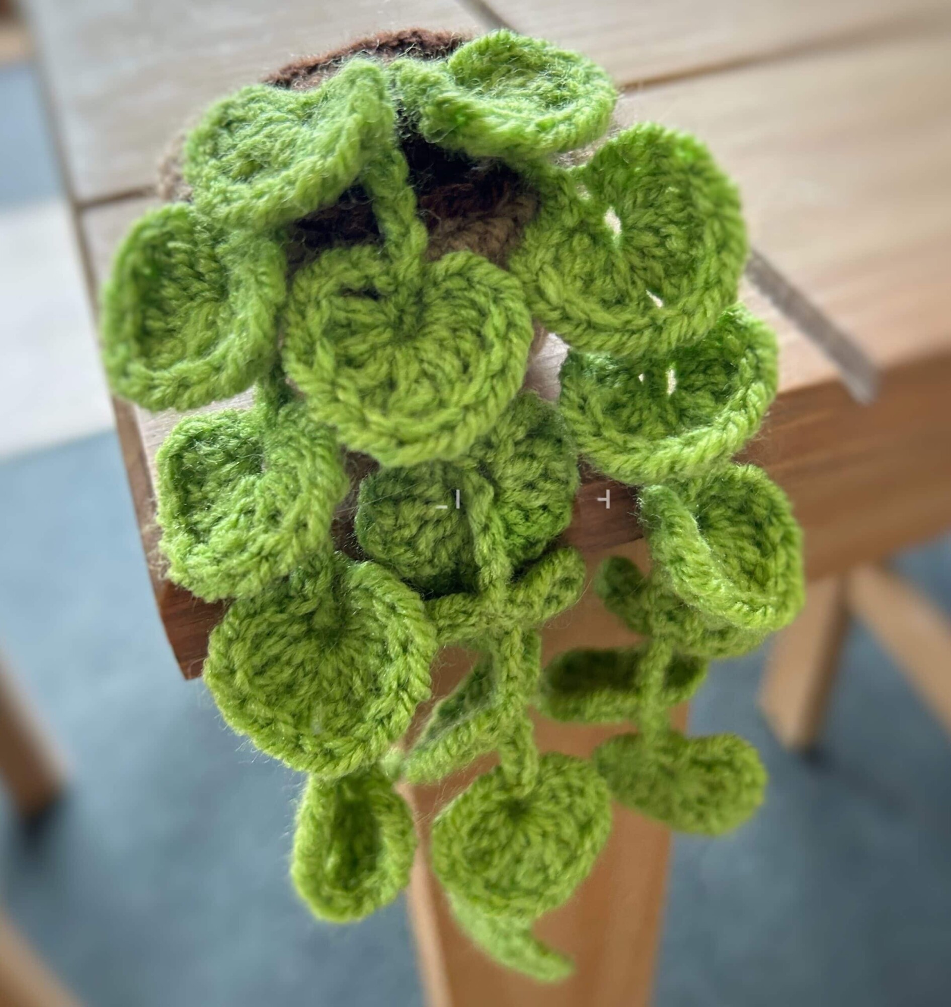 Crochet Hanging Vines Hearts In Mini Pots